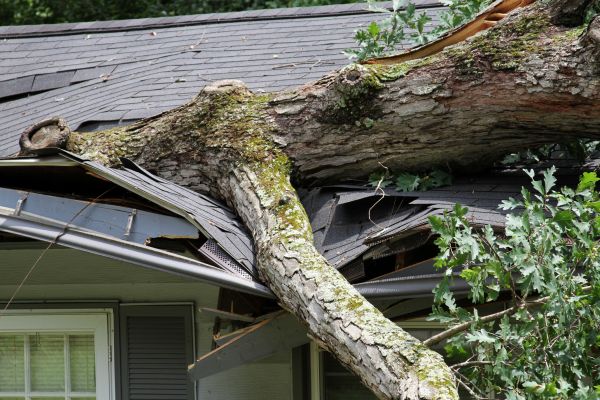 Cost of Storm Remediation in Merritt Island