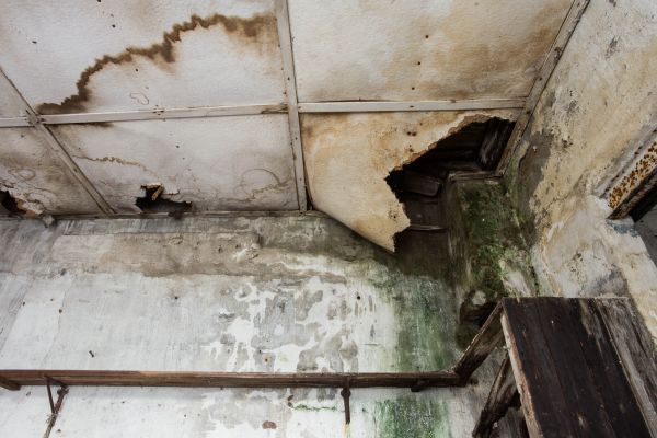 Water Damage Service in Merritt Island