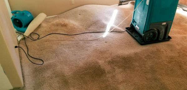 Flood Damage Cleanup in Merritt Island