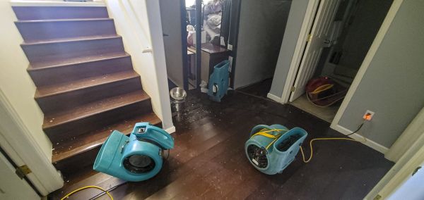 Water Damage Remediation in Merritt Island