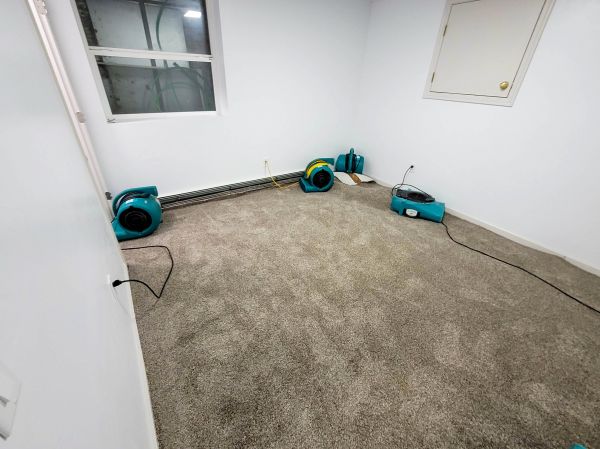 Flood Restoration Service in Merritt Island