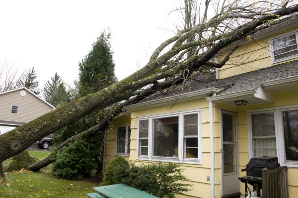 Hurricane Damage Repair in Merritt Island
